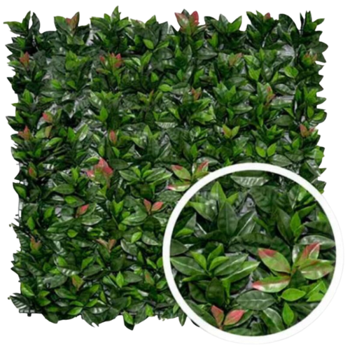 Mur Végétal Artificiel – Photinia