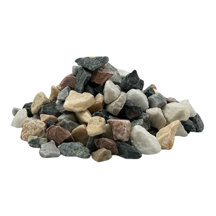 GRAVIER MULTICOLORE 8-16